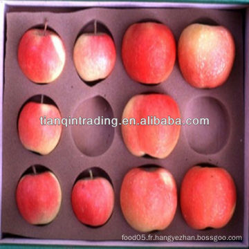 Shandong Fresh Apple